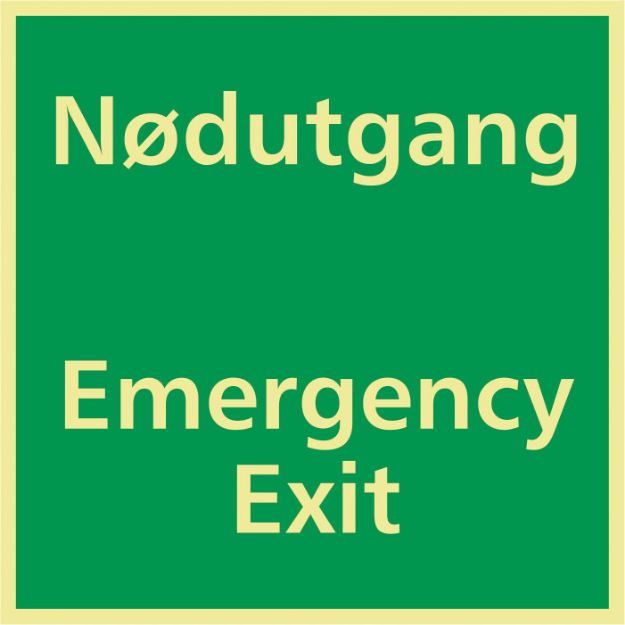 Nï¿½dutgang / Emergency Exit