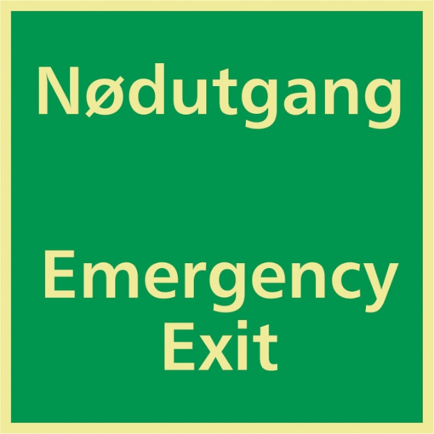 Nï¿½dutgang / Emergency Exit