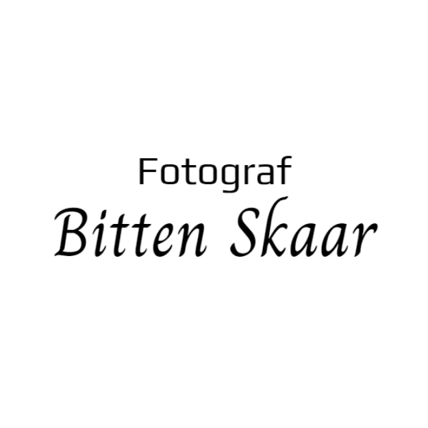 Bilde av Pregestempel for fotograf, for å prege foto