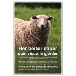 Nofence skilt for merking av gjerdeløst beite. Skilt for sau.
